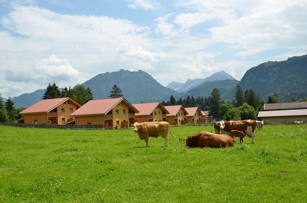 Feriendorf Am Hahnenkamm Reutte Dış mekan fotoğraf